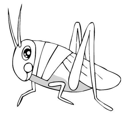 Кузнечик для рисования