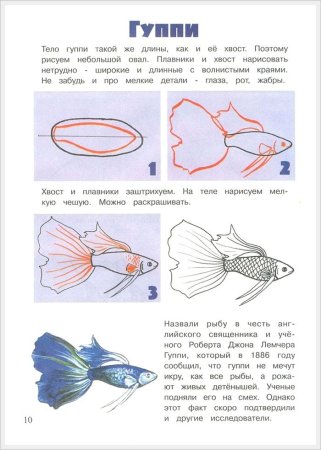 Рисуем аквариумных рыбок гуппи