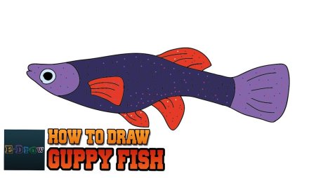 Guppy Fish draw
