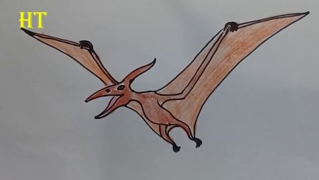 Птеродактиль рисунок