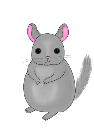 Мультяшные шиншиллы