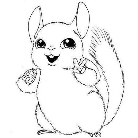 Шиншилла раскраска для детей