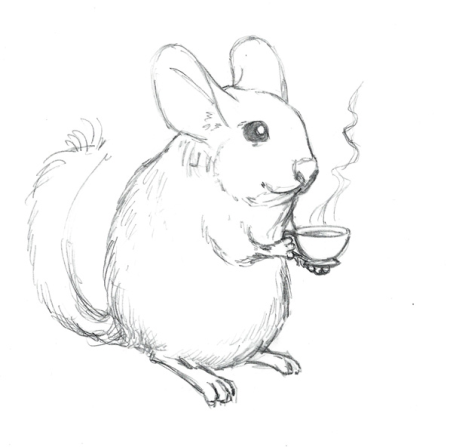 Шиншилла поэтапно