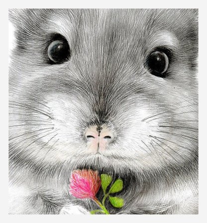 Милые рисунки шиншилленок