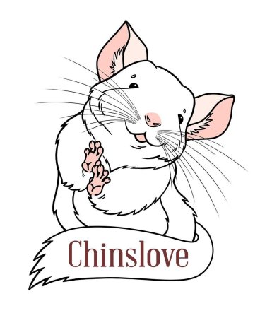 Векторный рисунок шиншилла