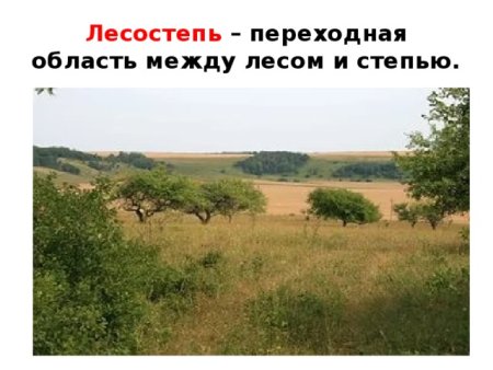 Климат лесостепи Северной Америки