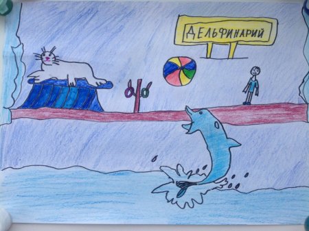 Дельфинарий рисунок