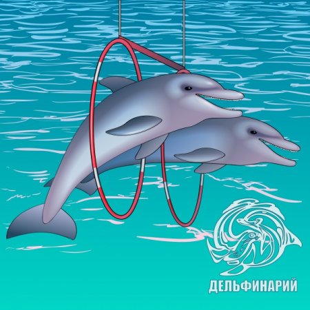 Дельфинарий рисунок