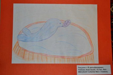 Дельфин с мячиком мультяшный