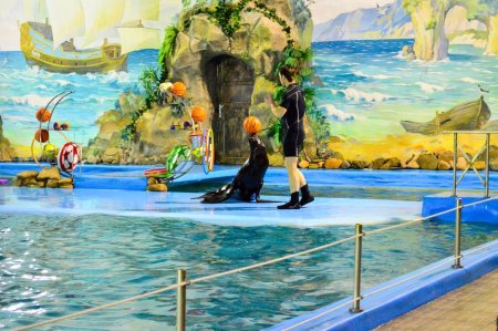 Раскраска Дельфин