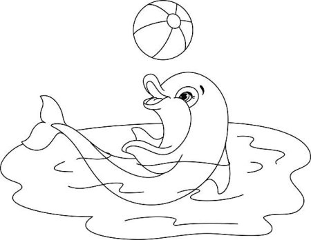 Рисунок на тему в дельфинарии