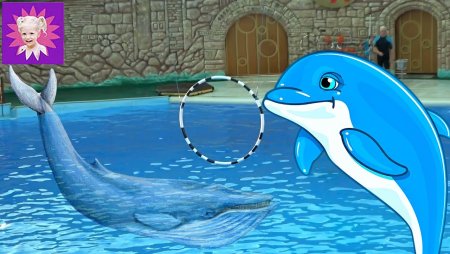 Дельфин детский рисунок