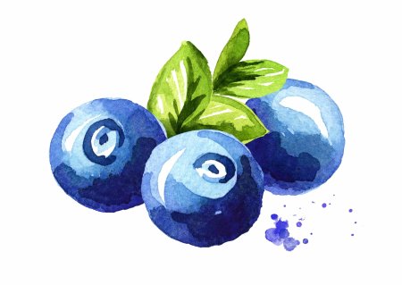 Голубика нарисованная