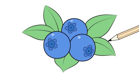 Черника рисунок