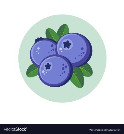 Черника мультяшная