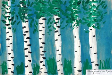 Рисование березы в детском саду