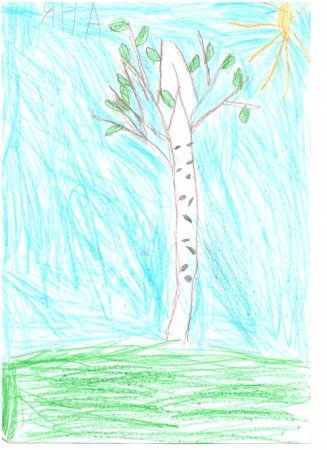 Берёза рисунок карандашом