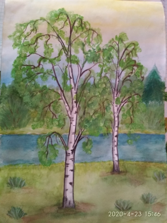 Рисование русская береза