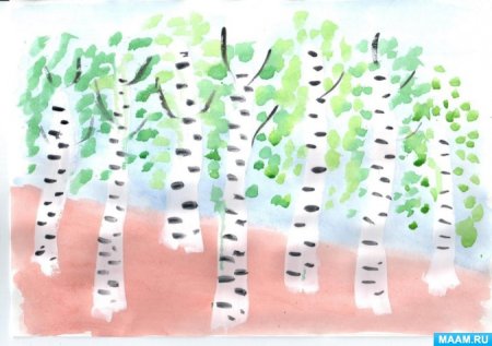 Рисование Березовая роща в старшей группе