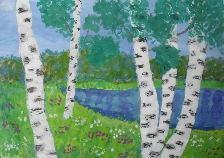 Береза рисунок