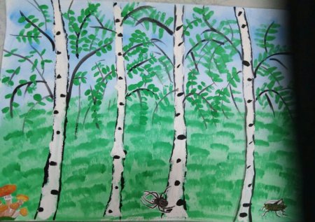 Рисование Березовая роща