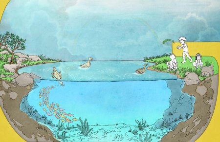 Водоем картинка для детей