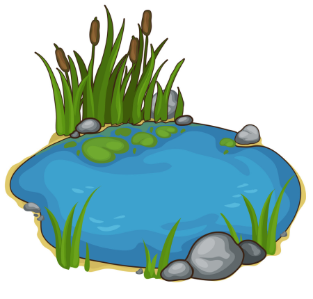 Пруд мультяшный