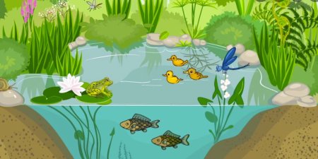 Экосистема водоема для дошкольников