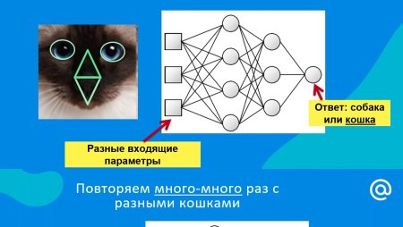 Идентификация по лицу