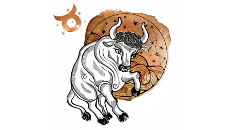 Телец Зодиак на белом фоне