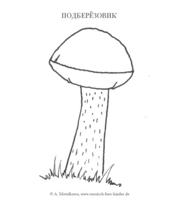 Гриб подосиновик раскраска для детей
