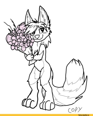 Рисунки фурри