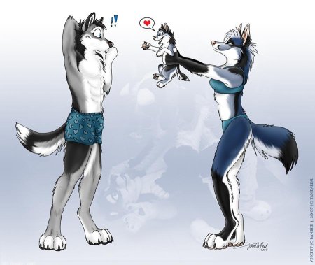 Волки в виде людей