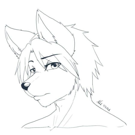 Фурри рисунки карандашом