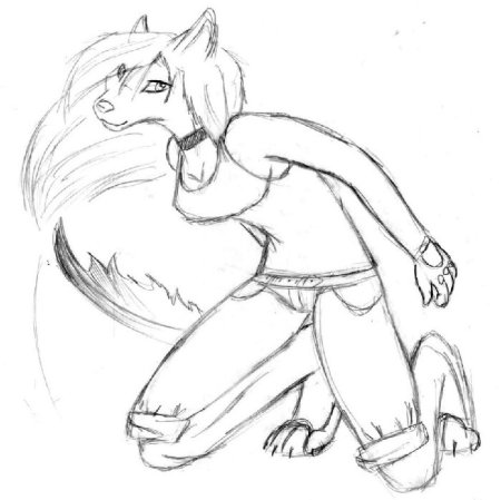 Фурри для срисовки