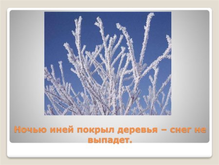 Иней изображение