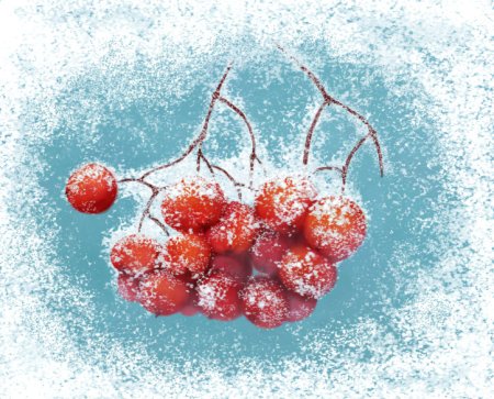 Кисть рябины зимой