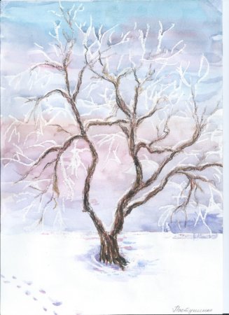Рисование деревья в инее