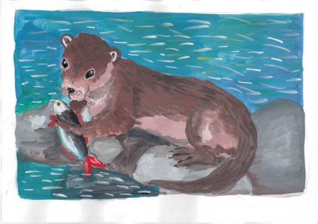 Догадливая выдра