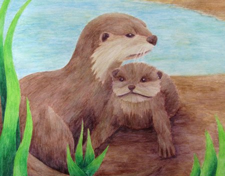 Рисование Речной выдры