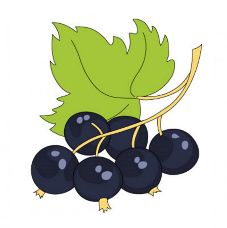 Ягоды раскраска для детей