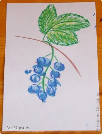 Смородина раскраска