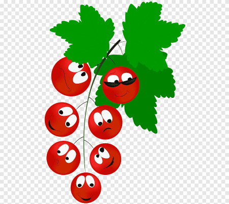 Рисование смородина в подготовительной группе