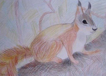 Анималистический Жанр рисунки