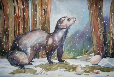 Хорек акварелью