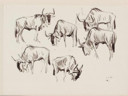 Вадим Трофимов художник анималист