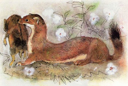 Художник-анималист Георгий Никольский.