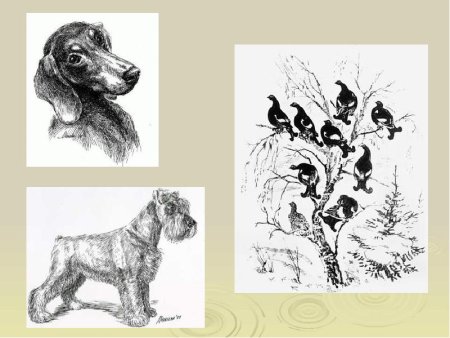 Анималистический Жанр (в.а. Ватагин, е.и. Чарушин).