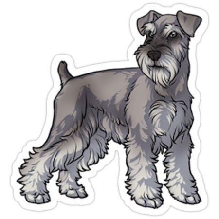 Цвергшнауцер сбоку экстерьер нарисованный тень