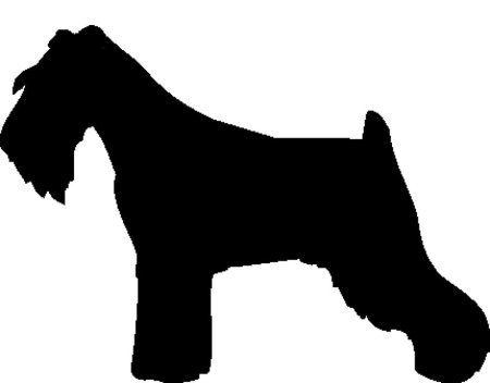 Шнауцер контур